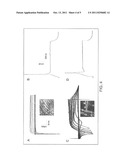 FORMATION OF NEUROMUSCULAR JUNCTIONS IN A DEFINED SYSTEM diagram and image