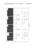 FORMATION OF NEUROMUSCULAR JUNCTIONS IN A DEFINED SYSTEM diagram and image