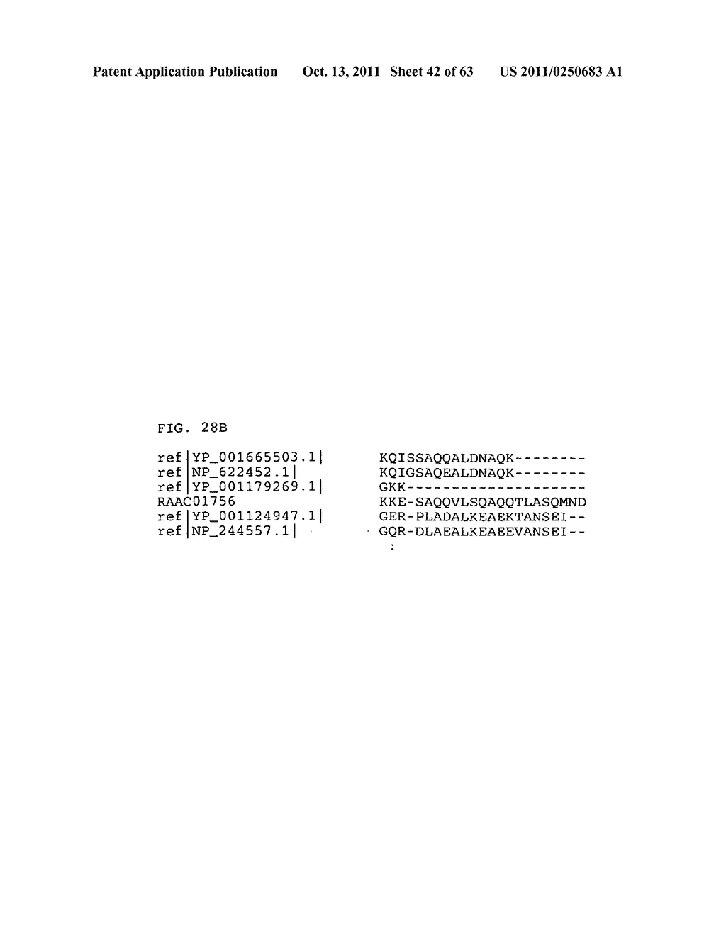 Thermophilic and thermoacidophilic sugar transporter genes and enzymes     from alicyclobacillus acidocaldarius and related organisms, methods - diagram, schematic, and image 43