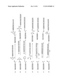 COMPOSITIONS AND METHODS FOR ENHANCING CELLULAR TRANSPORT OF BIOMOLECULES diagram and image