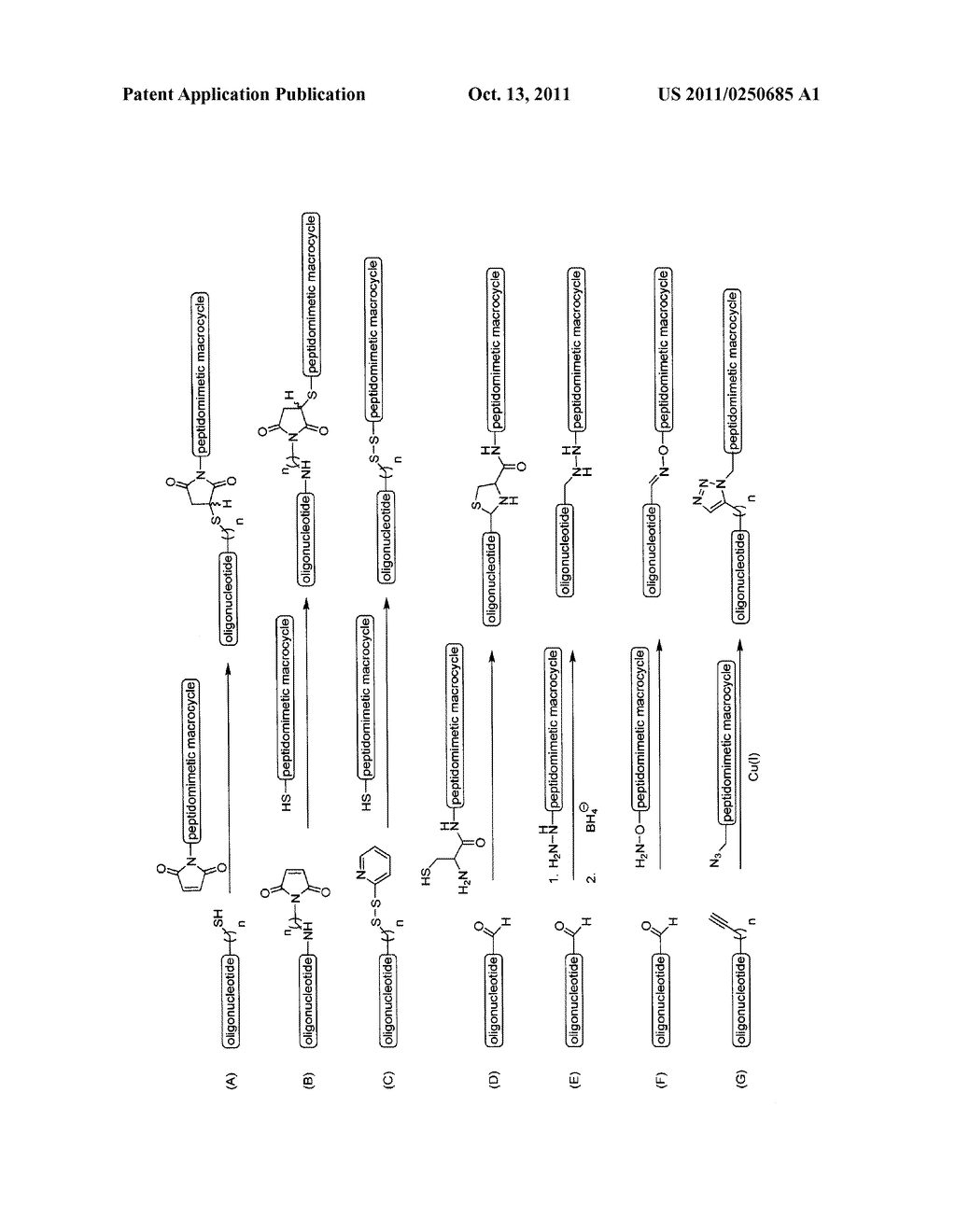 COMPOSITIONS AND METHODS FOR ENHANCING CELLULAR TRANSPORT OF BIOMOLECULES - diagram, schematic, and image 02