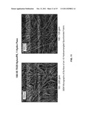 HIGH STRENGTH, DURABLE MICRO & NANO-FIBER FABRICS PRODUCED BY FIBRILLATING     BICOMPONENT ISLANDS IN THE SEA FIBERS diagram and image