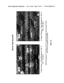 HIGH STRENGTH, DURABLE MICRO & NANO-FIBER FABRICS PRODUCED BY FIBRILLATING     BICOMPONENT ISLANDS IN THE SEA FIBERS diagram and image