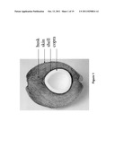 NON-WOVEN FABRIC COMPOSITES FROM COIR FIBERS diagram and image