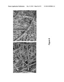 NON-WOVEN FABRIC COMPOSITES FROM COIR FIBERS diagram and image