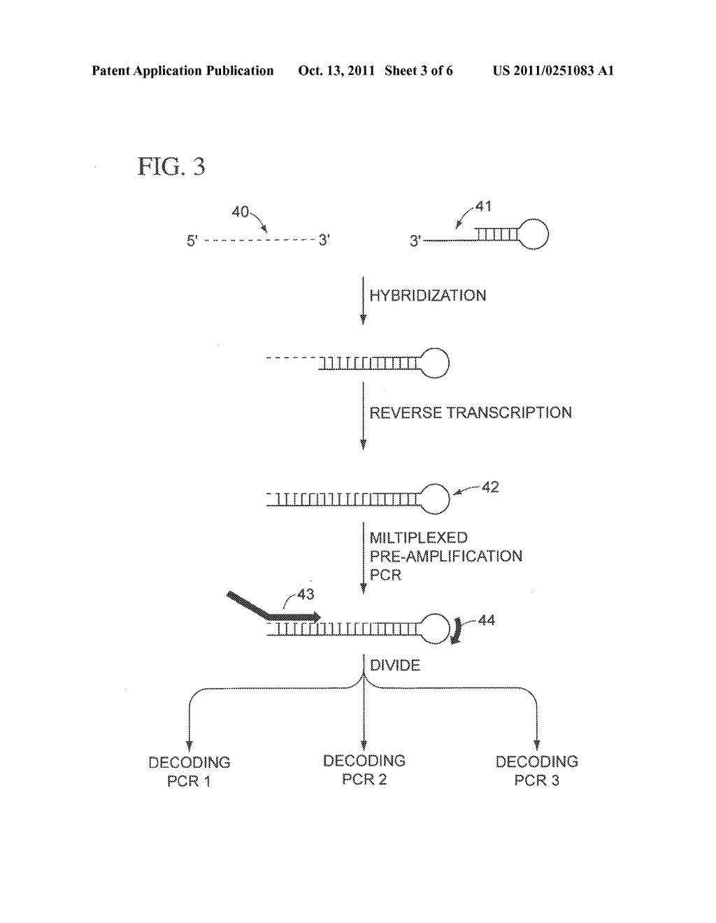 Multiplexed Amplification of Short Nucleic Acids - diagram, schematic, and image 04