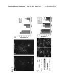 Blockade of gamma-secretase activity to promote myelination by     oligodendrocytes diagram and image
