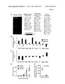 MOLECULAR MODULATORS OF THE WNT/BETA-CATENIN PATHWAY diagram and image