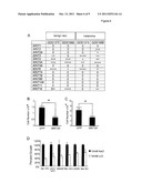 MOLECULAR MODULATORS OF THE WNT/BETA-CATENIN PATHWAY diagram and image