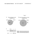 MOLECULAR MODULATORS OF THE WNT/BETA-CATENIN PATHWAY diagram and image