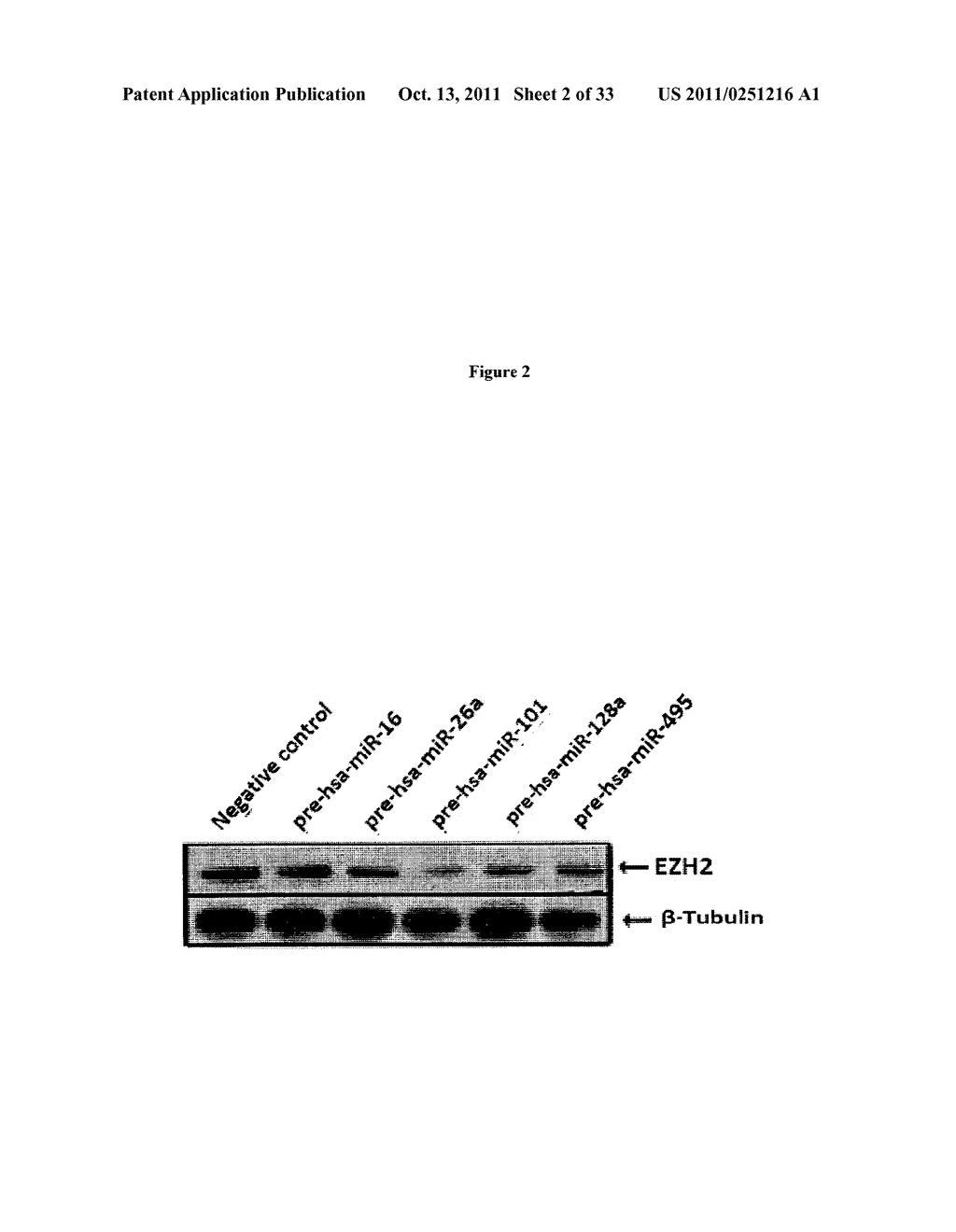COMPOSITIONS AND METHODS FOR INHIBITING EZH2 - diagram, schematic, and image 03