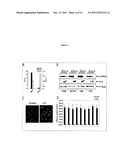 COMPOSITIONS AND METHODS FOR INHIBITING EZH2 diagram and image