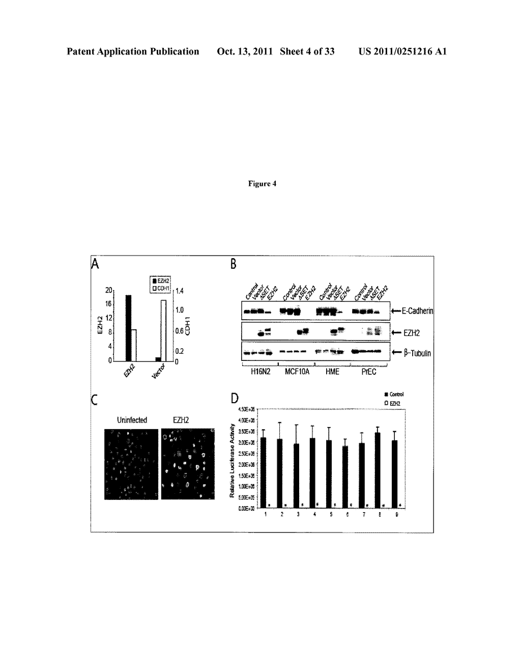 COMPOSITIONS AND METHODS FOR INHIBITING EZH2 - diagram, schematic, and image 05