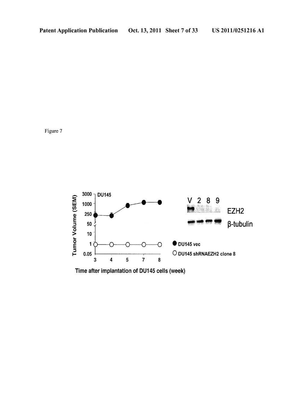 COMPOSITIONS AND METHODS FOR INHIBITING EZH2 - diagram, schematic, and image 08
