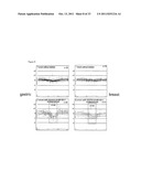 COMPOSITIONS AND METHODS FOR INHIBITING EZH2 diagram and image