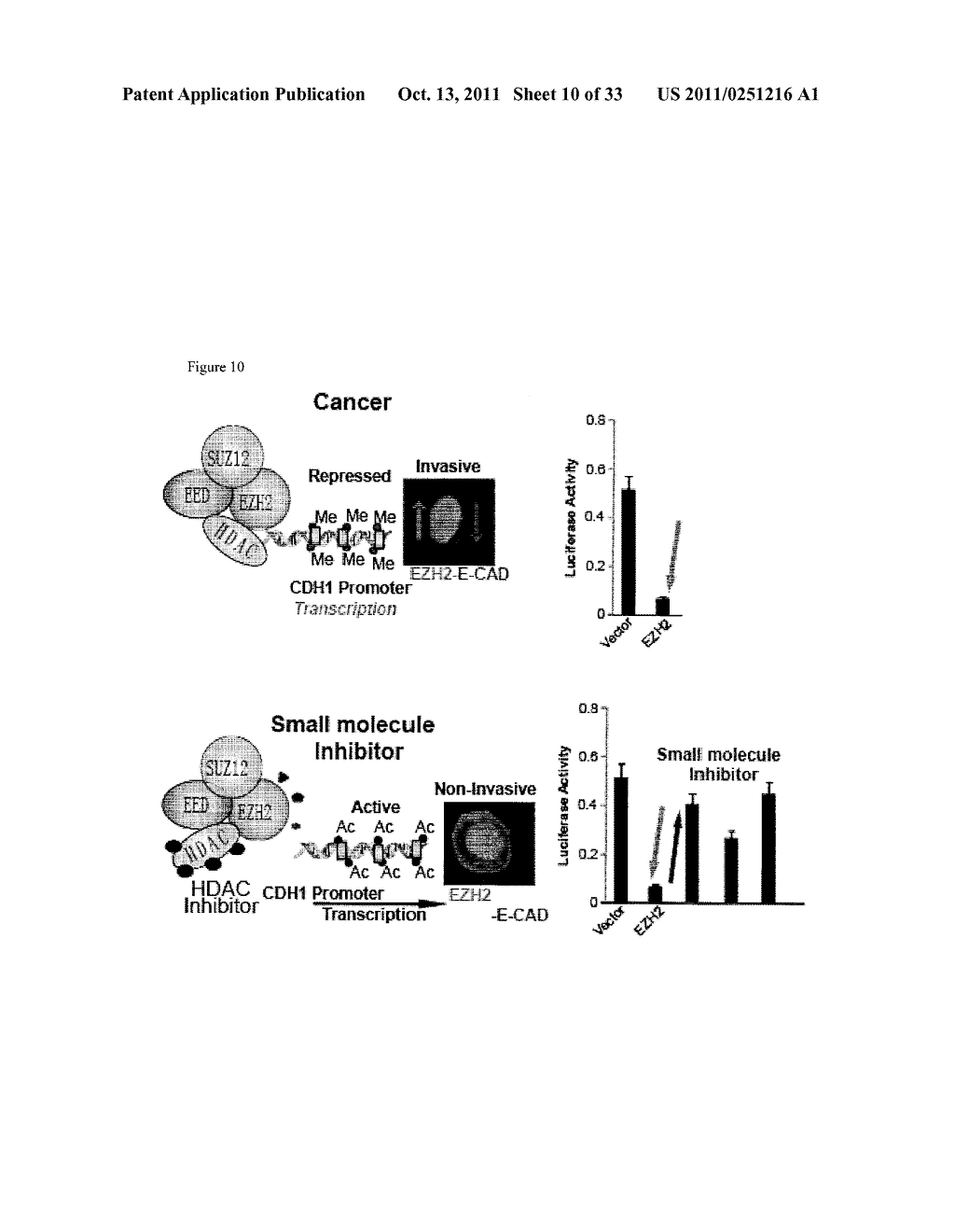 COMPOSITIONS AND METHODS FOR INHIBITING EZH2 - diagram, schematic, and image 11