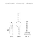 RNAI CONSTRUCTS AND USES THEREOF diagram and image