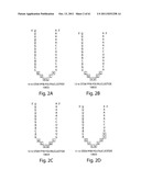 RNAI CONSTRUCTS AND USES THEREOF diagram and image