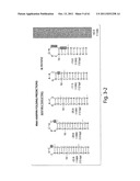 RNAI CONSTRUCTS AND USES THEREOF diagram and image