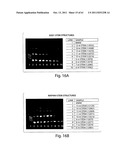 RNAI CONSTRUCTS AND USES THEREOF diagram and image