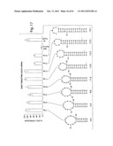 RNAI CONSTRUCTS AND USES THEREOF diagram and image