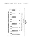 RNAI CONSTRUCTS AND USES THEREOF diagram and image