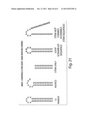 RNAI CONSTRUCTS AND USES THEREOF diagram and image