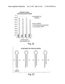 RNAI CONSTRUCTS AND USES THEREOF diagram and image