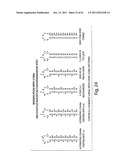 RNAI CONSTRUCTS AND USES THEREOF diagram and image