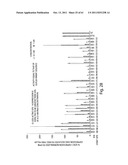 RNAI CONSTRUCTS AND USES THEREOF diagram and image