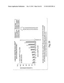 RNAI CONSTRUCTS AND USES THEREOF diagram and image