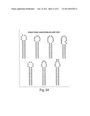 RNAI CONSTRUCTS AND USES THEREOF diagram and image