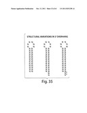 RNAI CONSTRUCTS AND USES THEREOF diagram and image