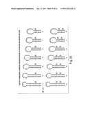 RNAI CONSTRUCTS AND USES THEREOF diagram and image