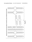 RNAI CONSTRUCTS AND USES THEREOF diagram and image