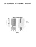 RNAI CONSTRUCTS AND USES THEREOF diagram and image