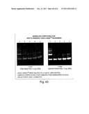 RNAI CONSTRUCTS AND USES THEREOF diagram and image