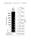 RNAI CONSTRUCTS AND USES THEREOF diagram and image