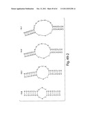 RNAI CONSTRUCTS AND USES THEREOF diagram and image