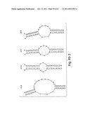 RNAI CONSTRUCTS AND USES THEREOF diagram and image