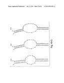 RNAI CONSTRUCTS AND USES THEREOF diagram and image