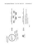 COMPOSITIONS AND METHODS FOR INHIBITION OF NUCLEIC ACIDS FUNCTION diagram and image