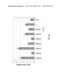 COMPOSITIONS AND METHODS FOR INHIBITION OF NUCLEIC ACIDS FUNCTION diagram and image