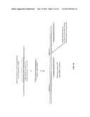 COMPOSITIONS AND METHODS FOR INHIBITION OF NUCLEIC ACIDS FUNCTION diagram and image