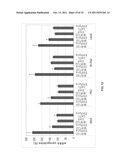 COMPOSITIONS AND METHODS FOR INHIBITION OF NUCLEIC ACIDS FUNCTION diagram and image