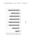 COMPOSITIONS AND METHODS FOR INHIBITION OF NUCLEIC ACIDS FUNCTION diagram and image