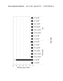 COMPOSITIONS AND METHODS FOR INHIBITION OF NUCLEIC ACIDS FUNCTION diagram and image