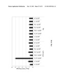 COMPOSITIONS AND METHODS FOR INHIBITION OF NUCLEIC ACIDS FUNCTION diagram and image