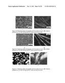 FAST RECOVERY OF THIXOTROPY BY ORGANOGELS WITH LOW MOLECULAR WEIGHT     GELATORS diagram and image