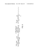 ONE-POT SYNTHESIS OF ALPHA/BETA-O-GLYCOLIPIDS diagram and image